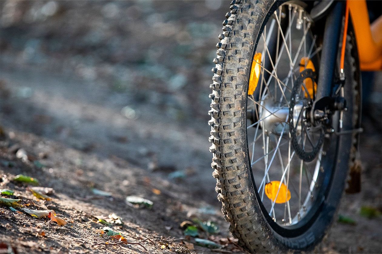 Option studded tires on Easy Rider tricycle Van Raam