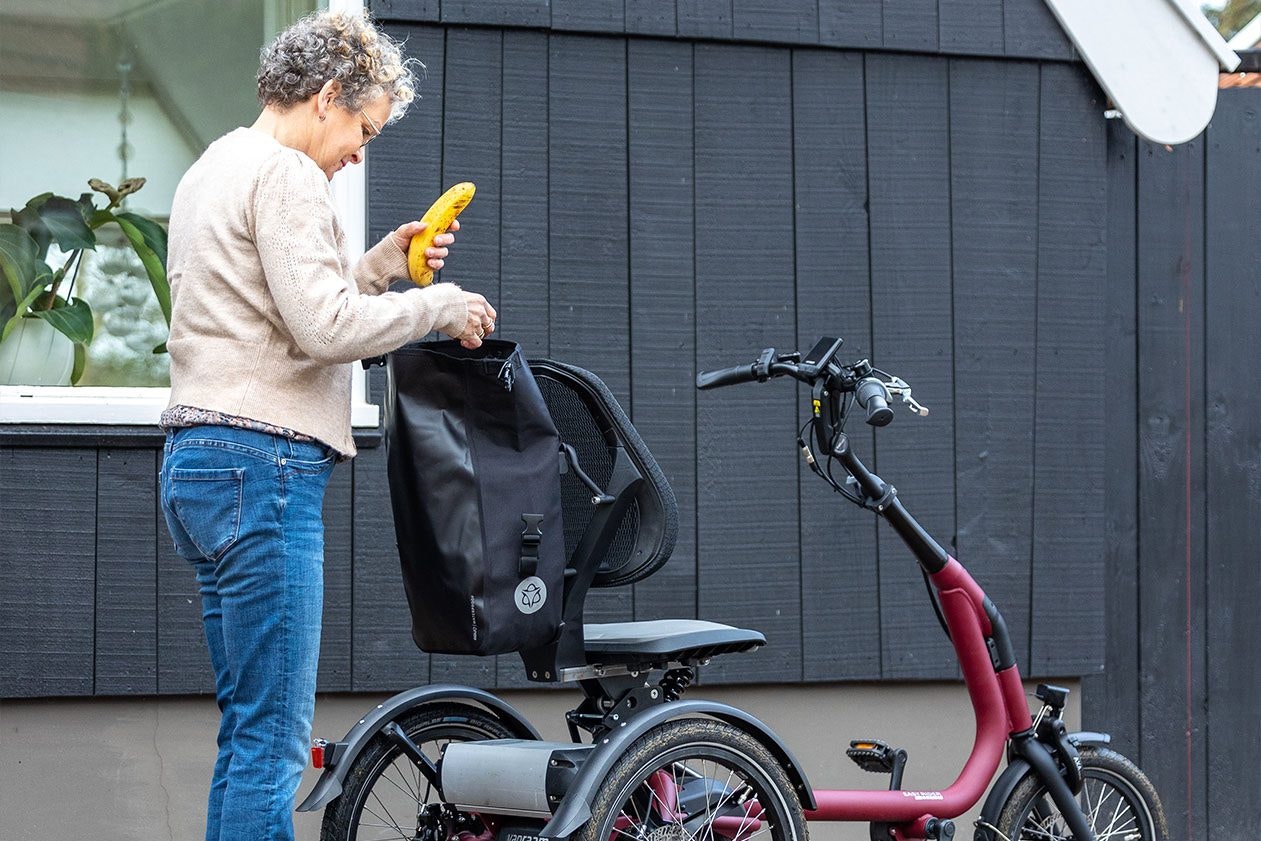 Fahrradtasche Easy Rider Compact Dreirad Erwachsene Van Raam