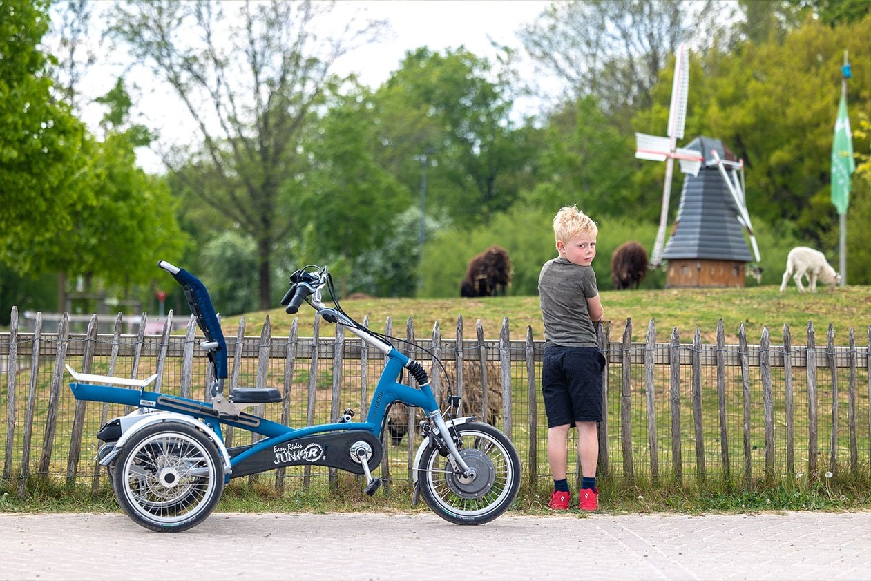 Tricycle for children Van Raam Easy Rider Junior