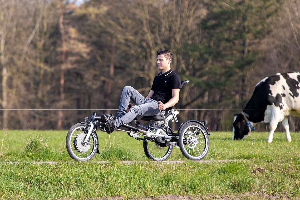 Easy Sport vélorizontal avec trois roues Van Raam