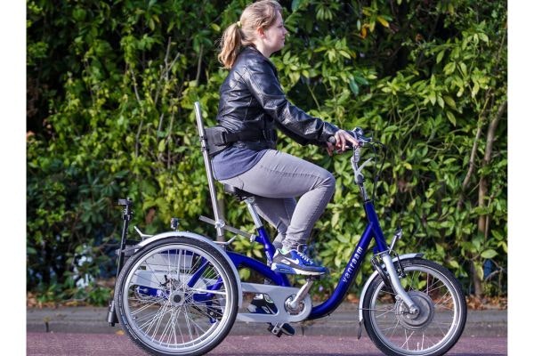 hip belt option for van raam tricycles