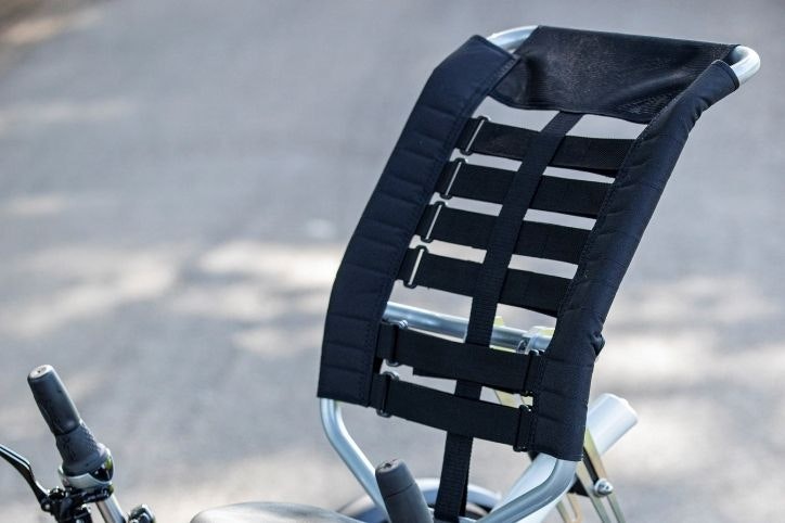 Tricycle sportif pour adultes de Van Raam avec siège confort