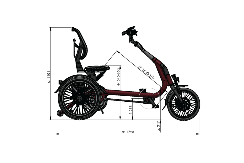 Measurements Van Raam Easy Rider Compact side