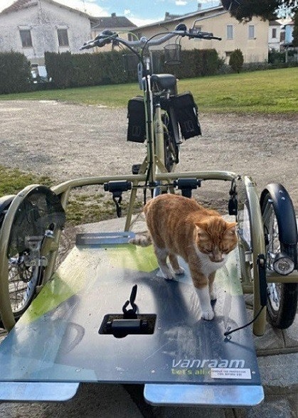 Avis de Malinverni sur le fauteuil roulant VeloPlus de Van Raam