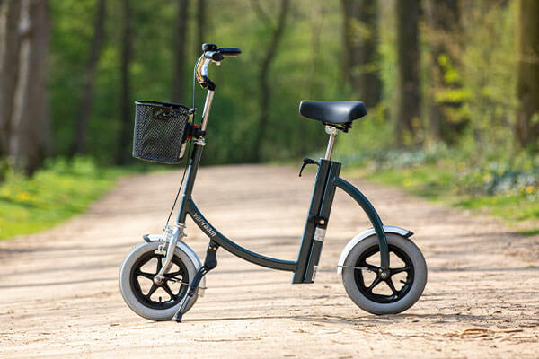 Warum hat ein Fahrrad mit 3 Raedern keinen Staender Parkbremse Van Raam City Laufhilfe