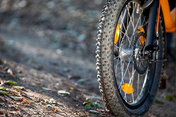 Noppenreifen für das Van Raam Easy Rider Dreirad Option