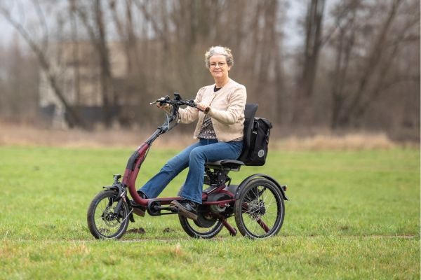 Van Raam Easy Rider Compact tricycle smart Silent Display