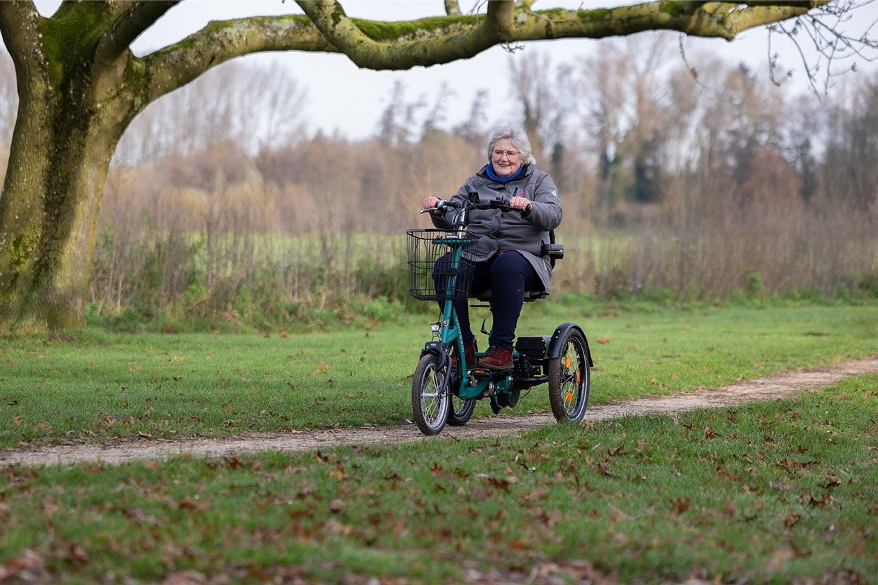 Scooterdreirad Radfahren Van Raam Easy Go