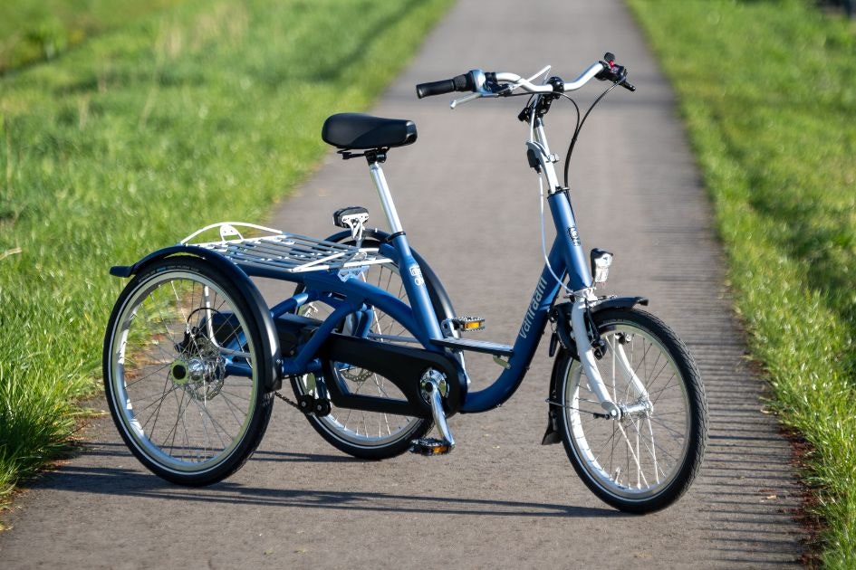 Option de marche-pied pour vélo Van Raam