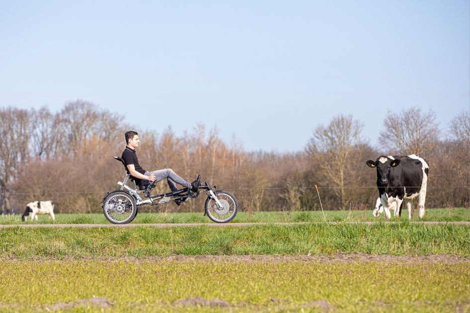 Tricycle thérapeutique Easy Sport de Van Raam
