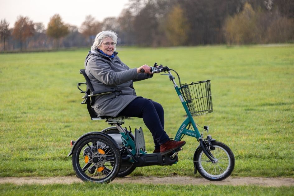 Van Raam Easy Go Elektromobil-Fahrrad gebraucht