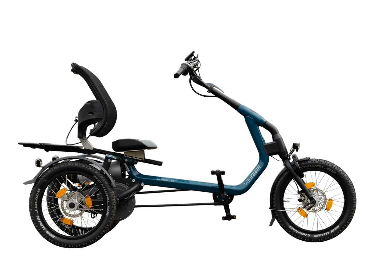 Easy Rider Dreirad Van Raam freistehend Easy Rider Dreirad Van Raam freistehend
