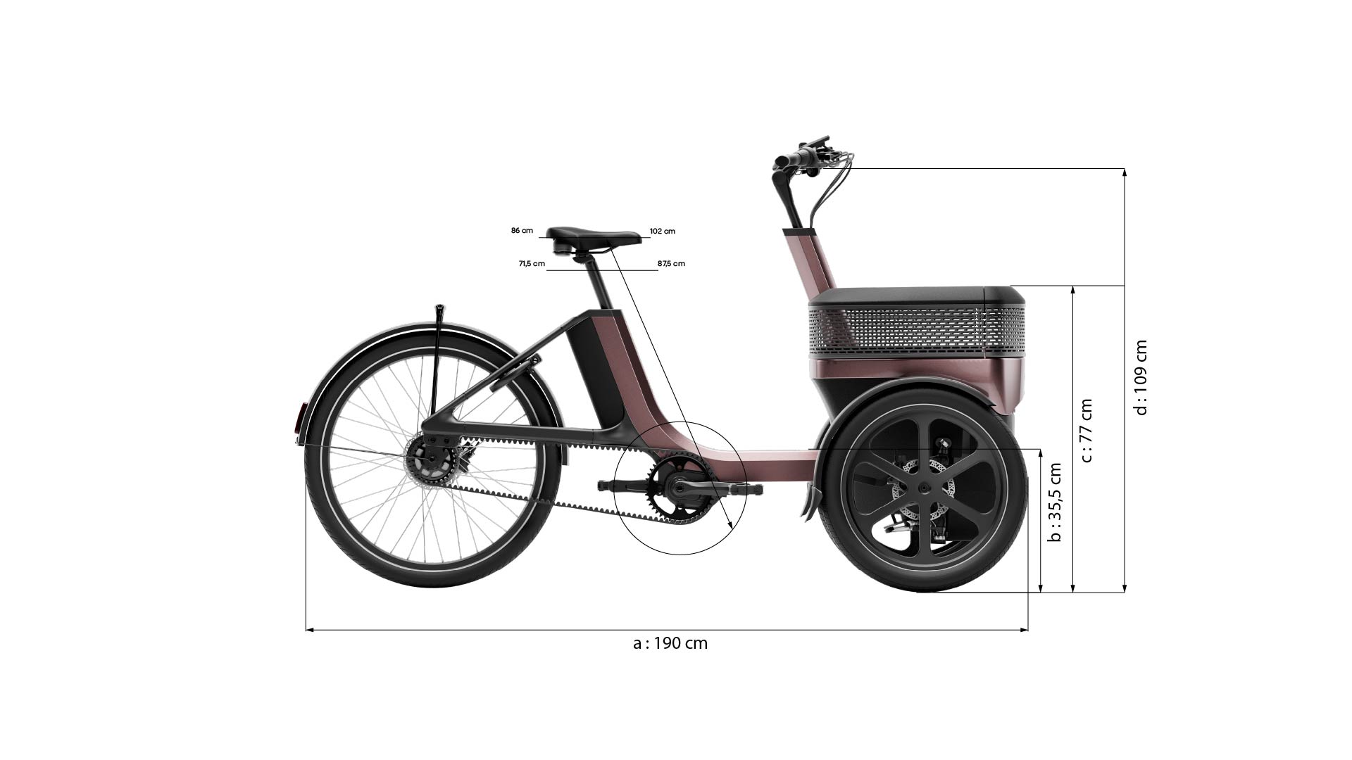 Thuja tricycle by vanRaam