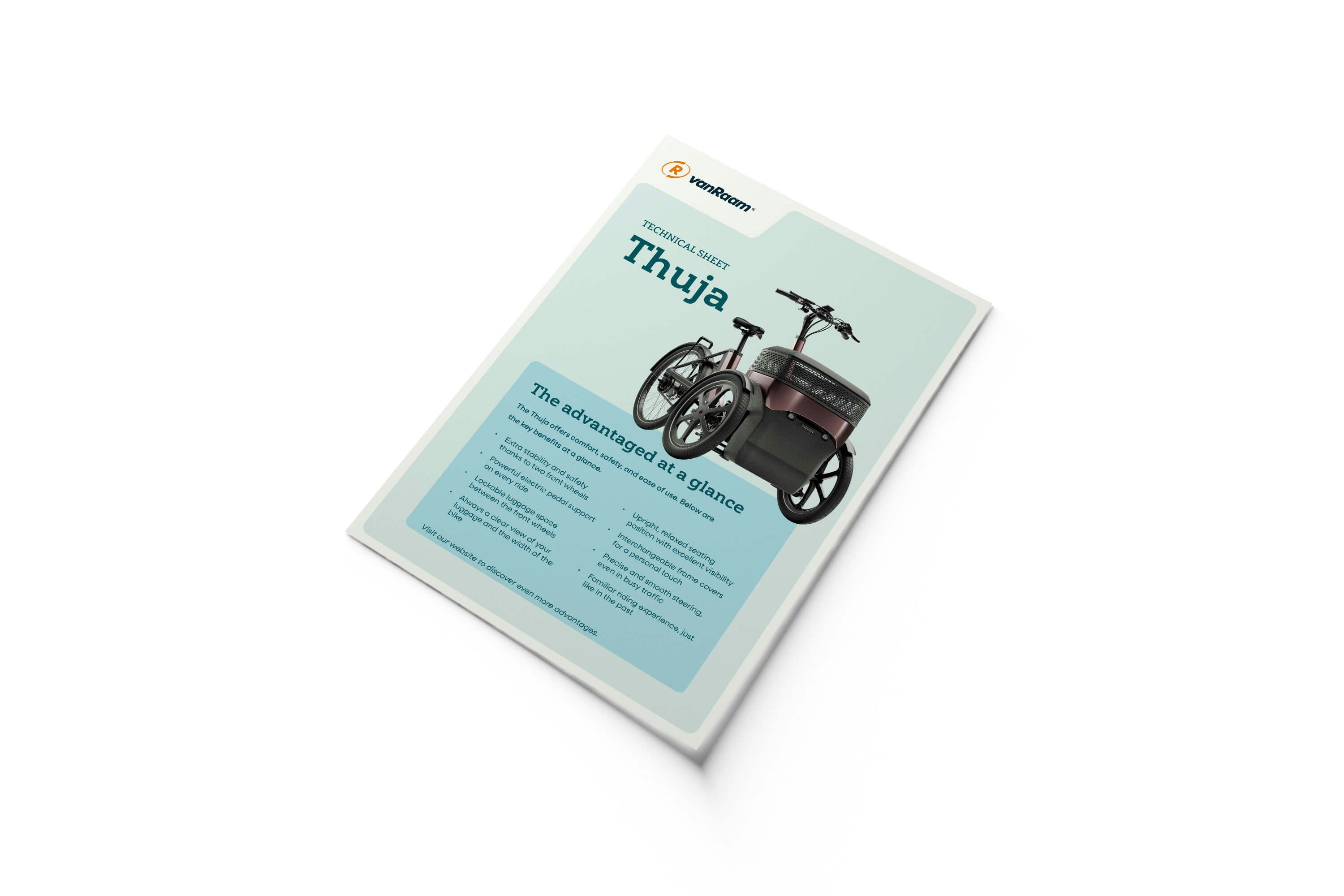 technical sheet Thuja (EN) mockup technical sheet Thuja (EN) mockup
