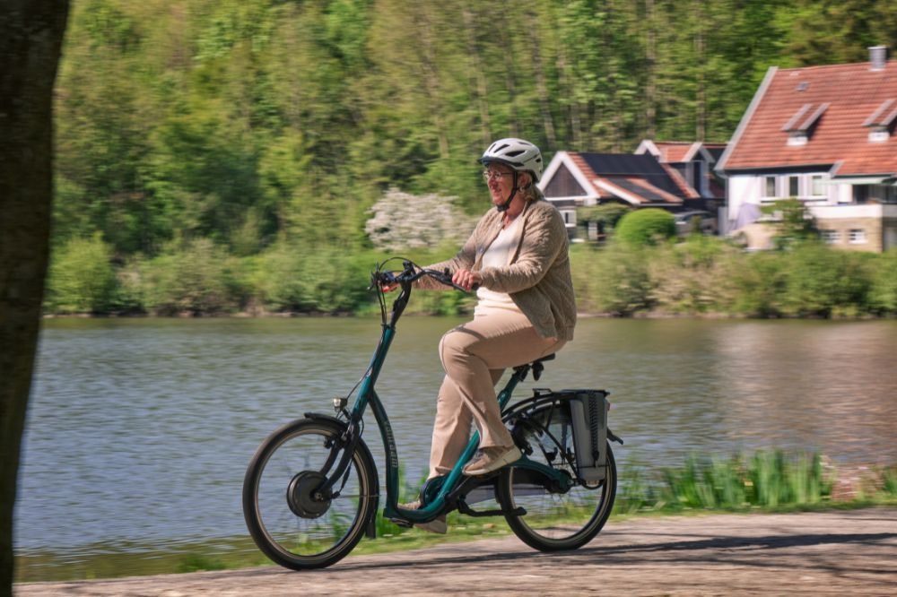 vanRaam Balance E-Bike mit niedrigem Einstieg