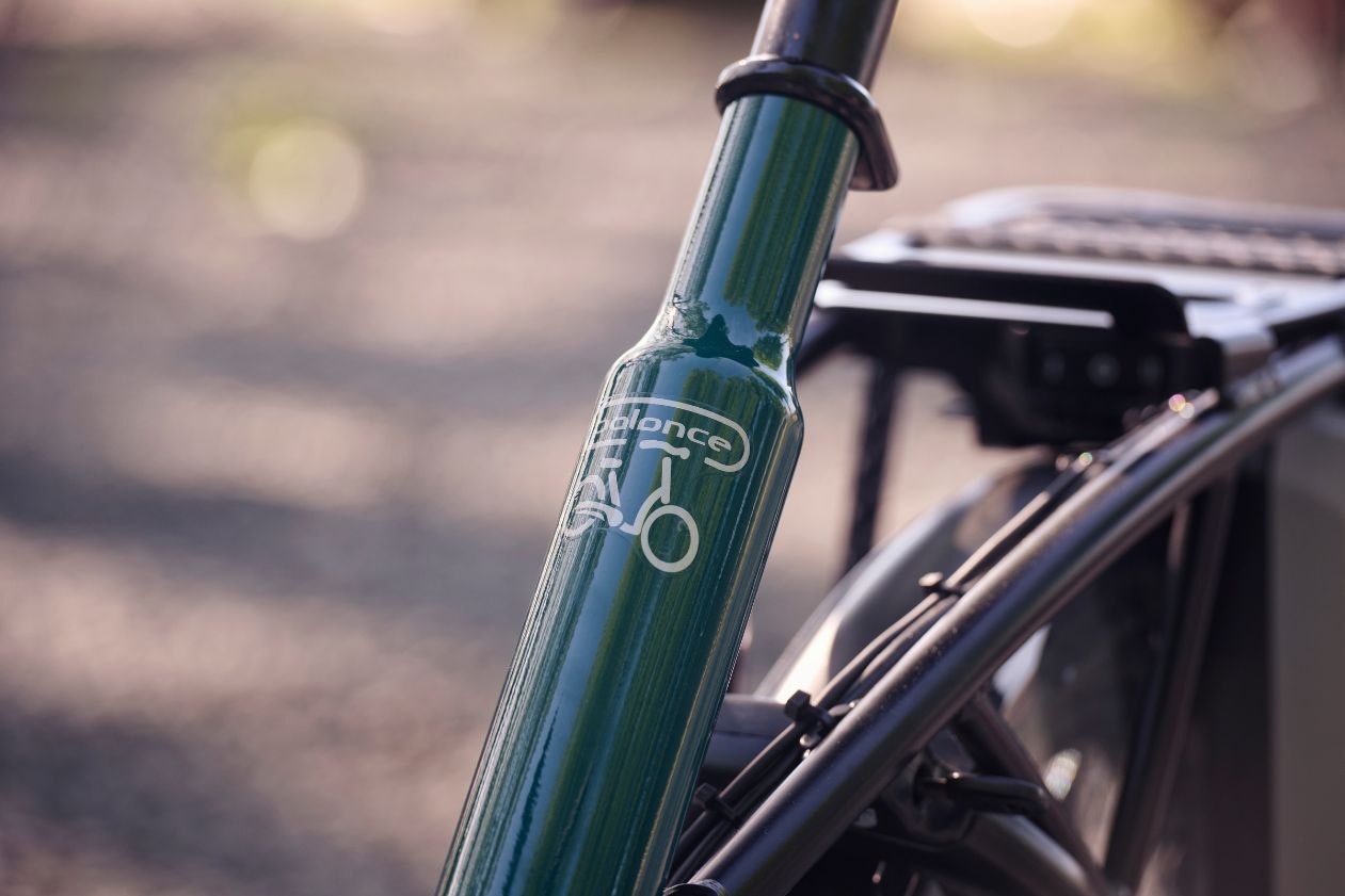 vanRaam Balance fiets met lage opstap
