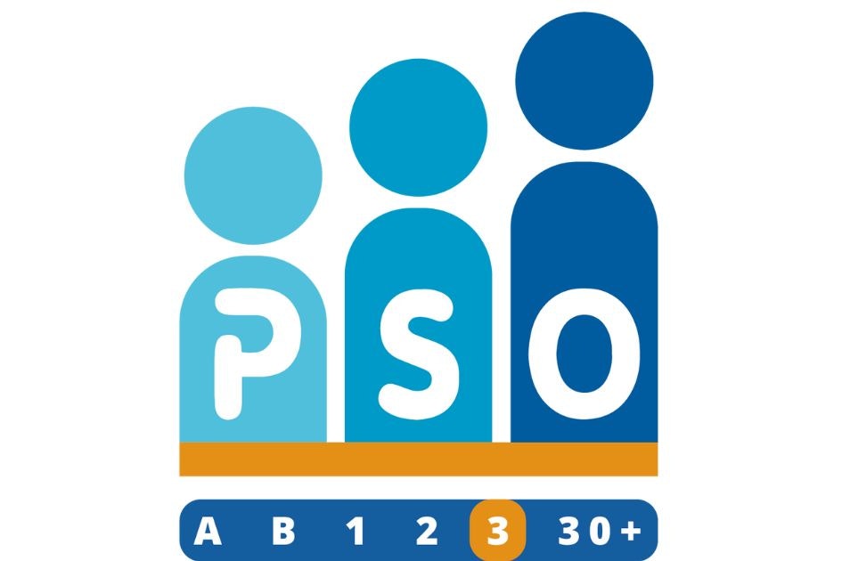 Inklusive Arbeitsumgebung: vanRaam erreicht höchste PSO-Stufe