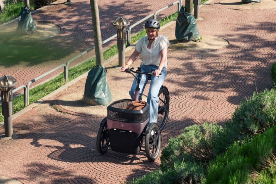 vanRaam Thuja cargo bakfiets
