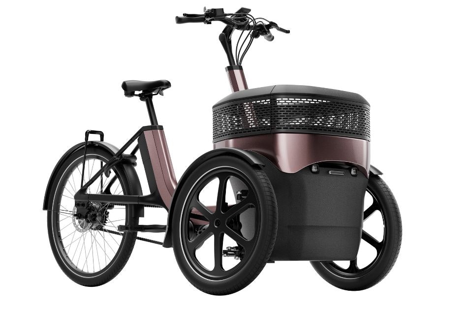 Thuja e-bike Dreirad