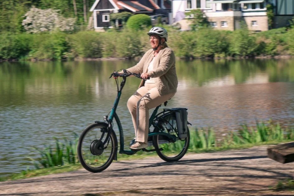 Balance low entry bike for older ladies Van Raam