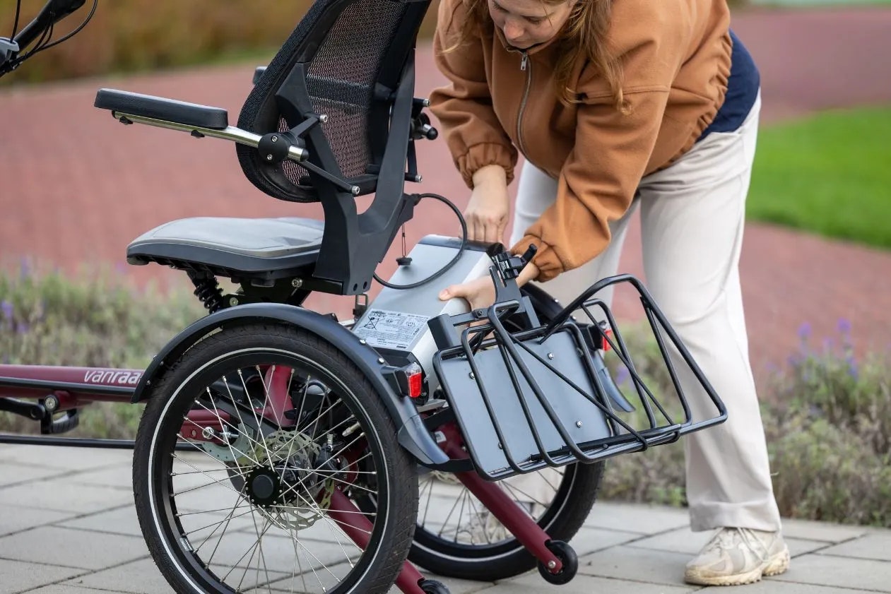 vanraam tricycle easy rider compact panier basculant option