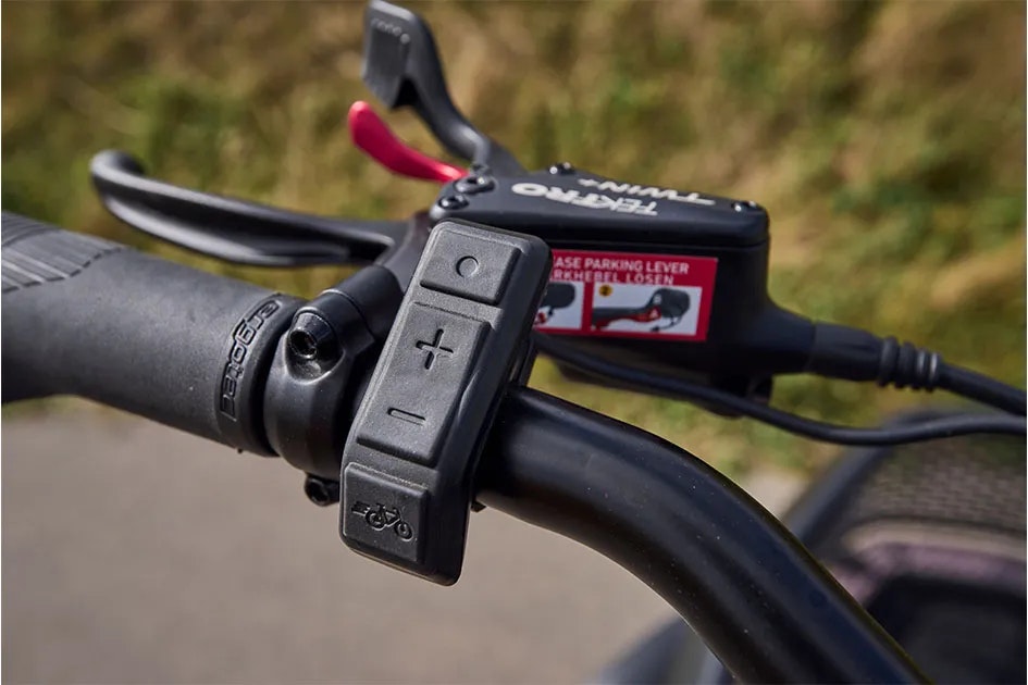 Controller pedal support system Thuja e-bike vanRaam