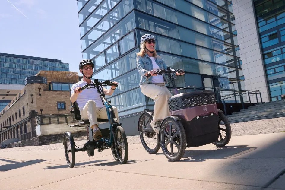 different types vanRaam tricycles