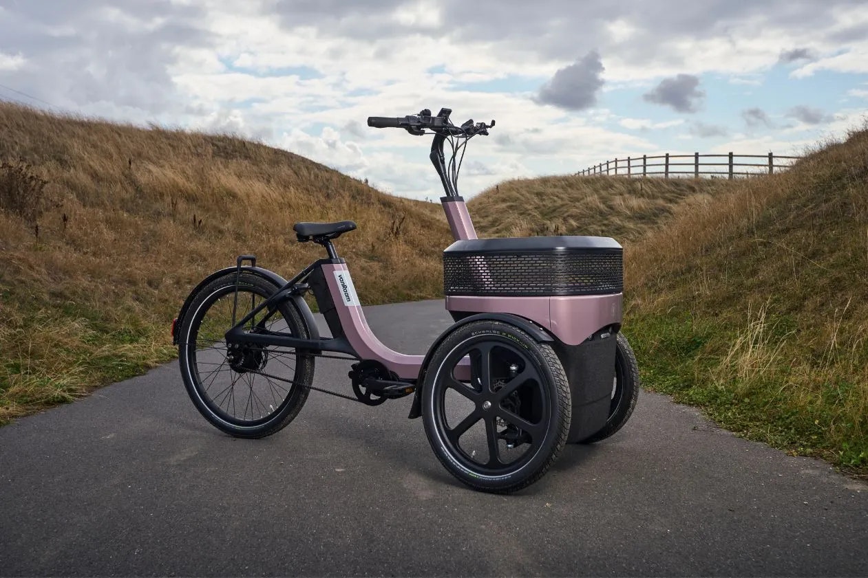 vanRaam Tricyle for adults Thuja taupe