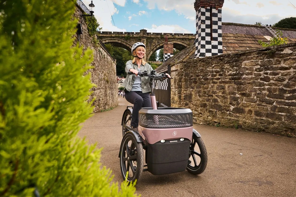 vanRaam e-bike Thuja for adults