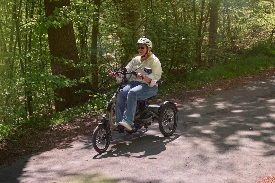 vanRaam Easy Rider Compact trike bike