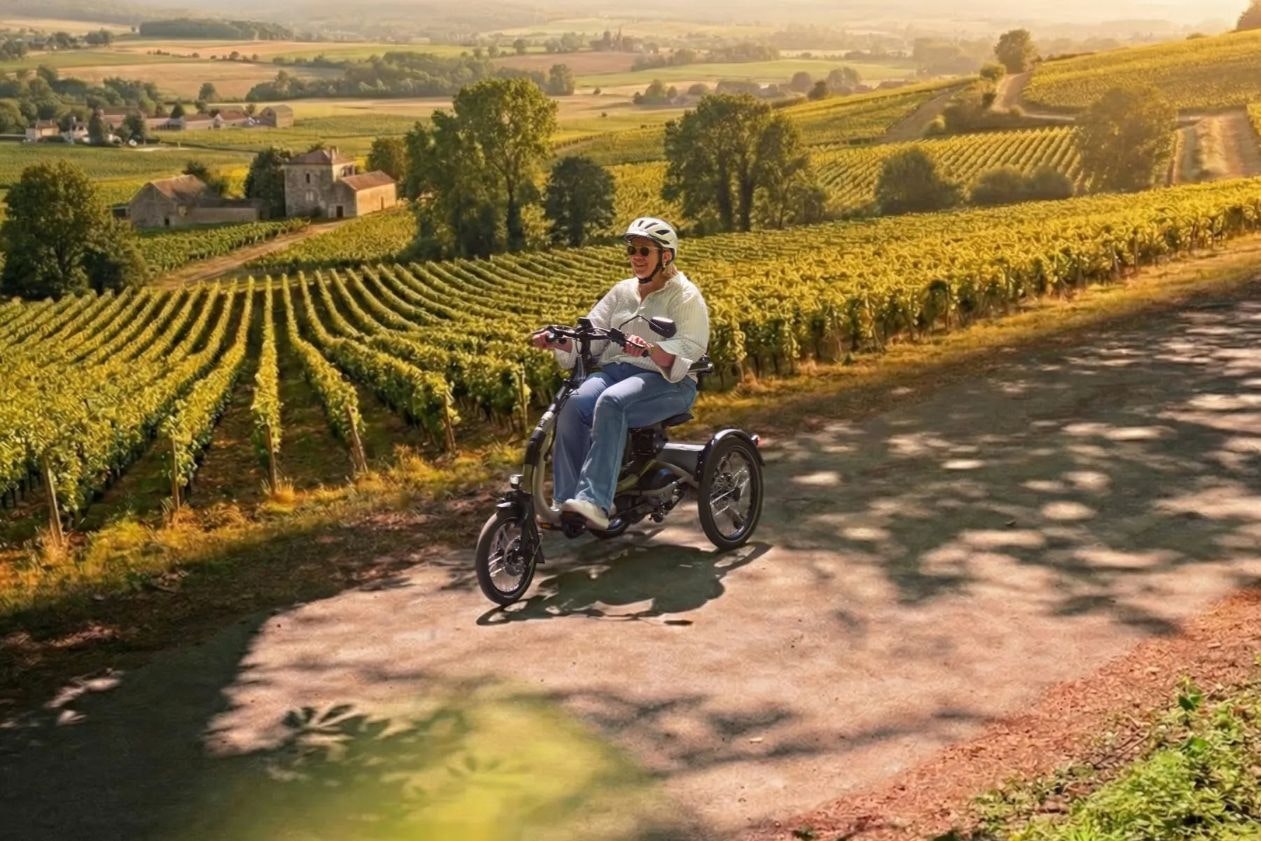 Easy Rider Compact Tricycle avec siège France Vignes
