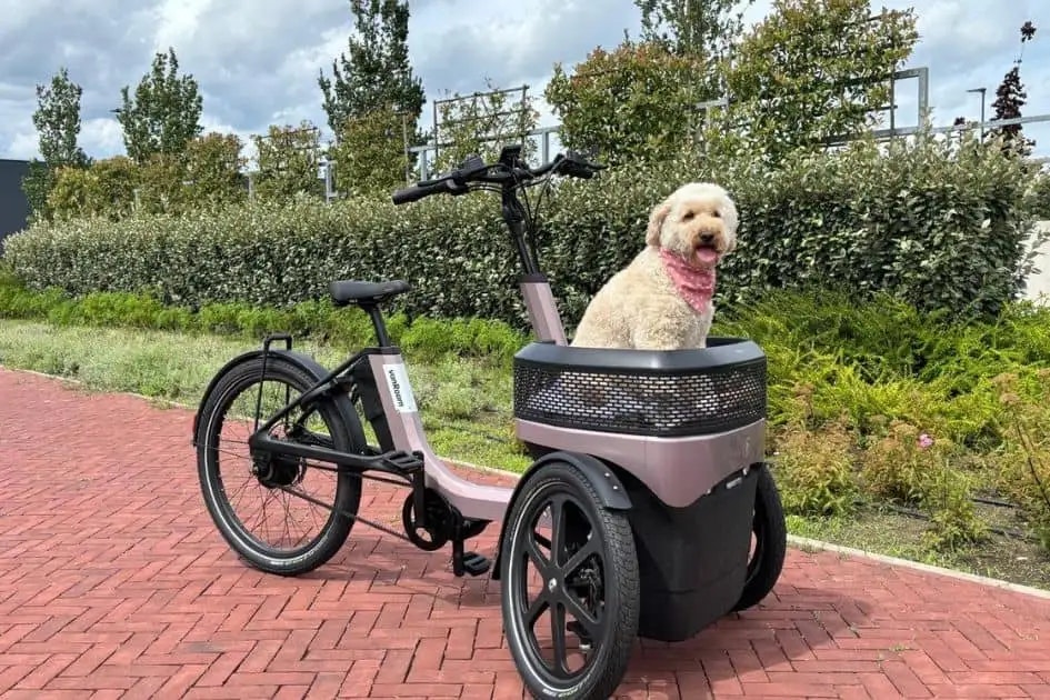 Van Kortenhof Vlaardingen vanRaam dealer