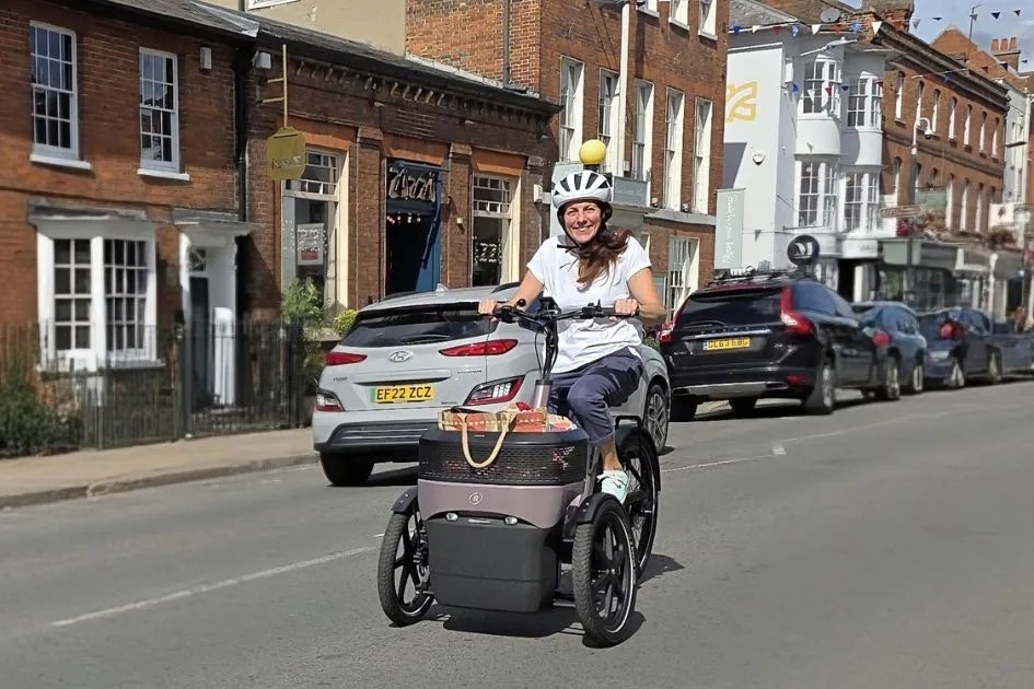 vanRaam Thuja Saddle Safari