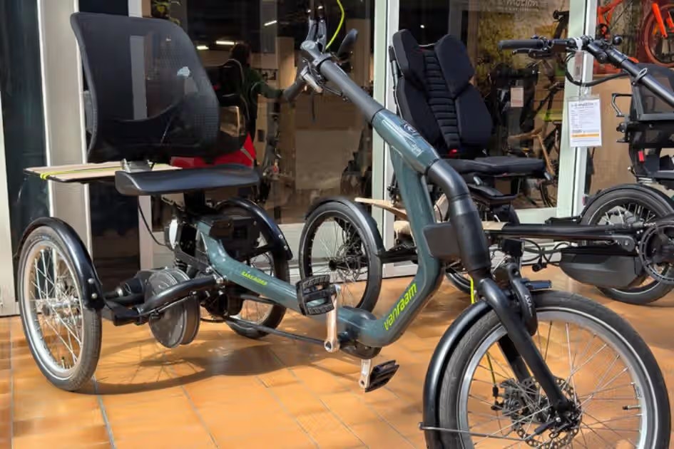 Dreirad-Zentrum Schwerin vanRaam Easy Rider