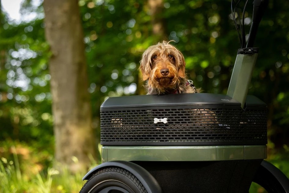 vanRaam Kit Thuja pour chien​