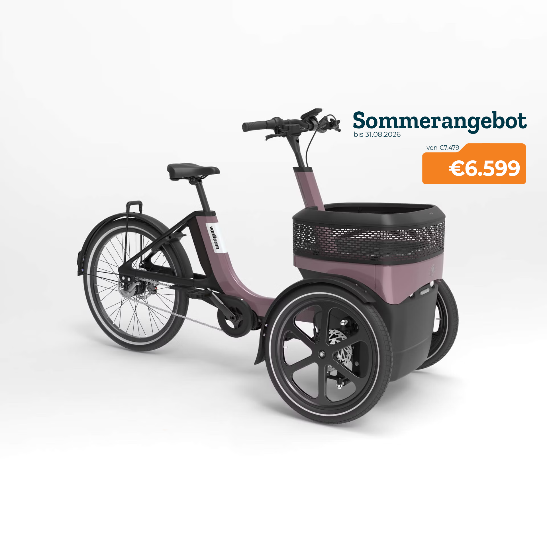 Thuja Active Dusty Taupe Summerdeal