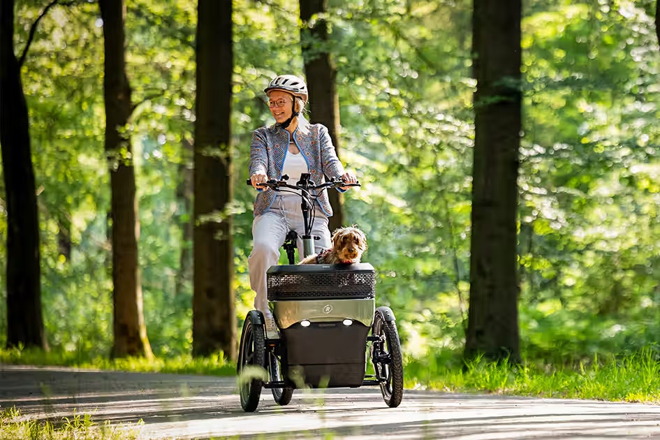 Faire du vélo avec un chien Kit Thuja pour chien vanRaam Faire du vélo avec un chien Kit Thuja pour chien vanRaam