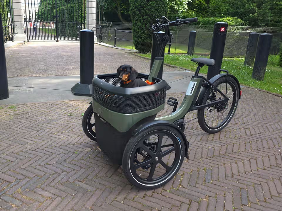 Expérience client vélo électrique Thuja  vanRaam Michiel Muermans