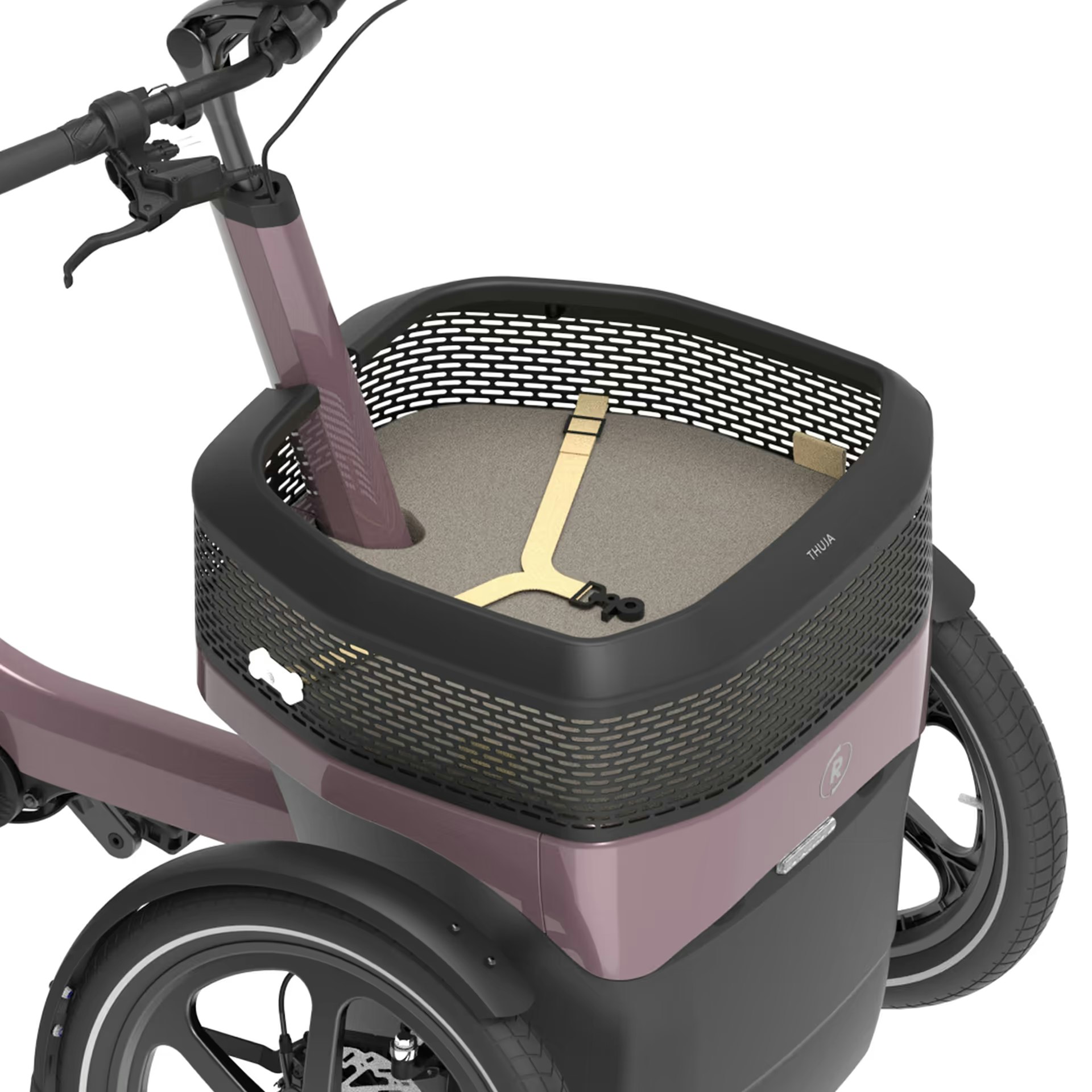 vanRaam Thuja tricycle dog kit