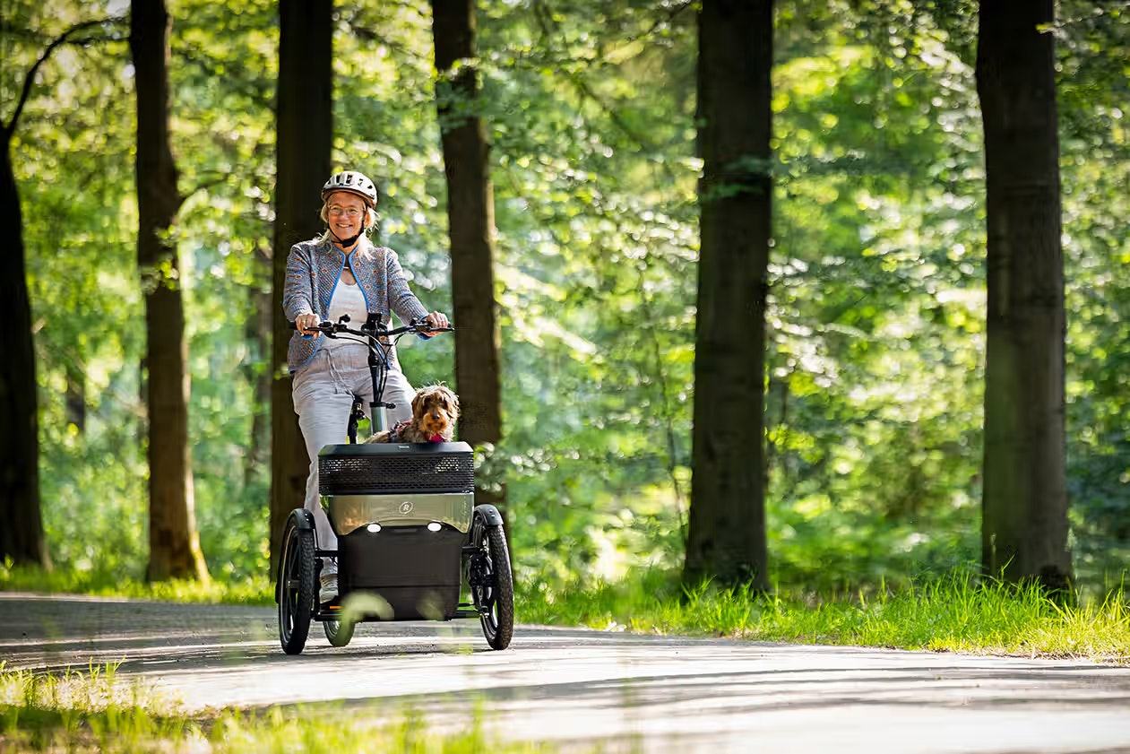 vanRaam Kit Thuja e-bike pour chien
