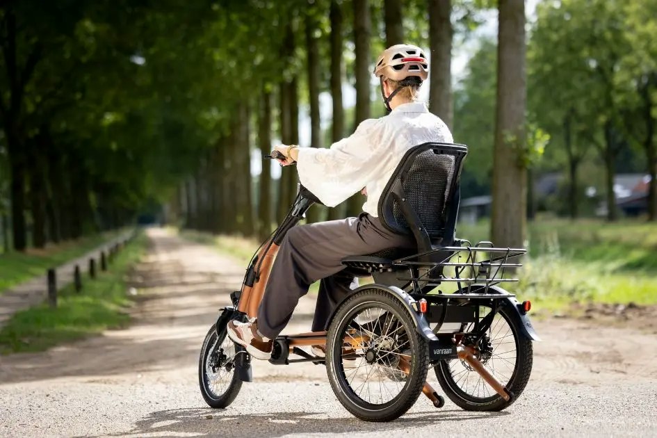 vanRaam Easy Rider Compact+ with basket