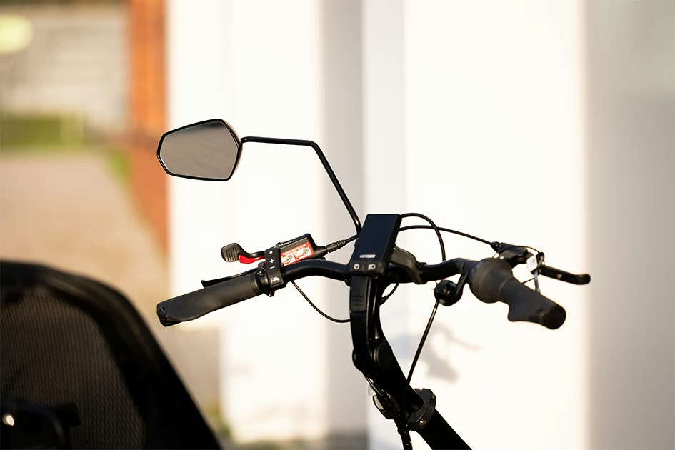 vanRaam special needs bike with mirror