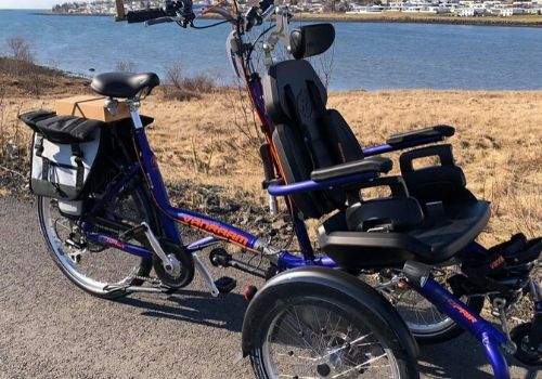 OPair in Iceland at mobility is