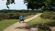 Easy Sport tricycle recumbent in nature Cindy van Bemmelen