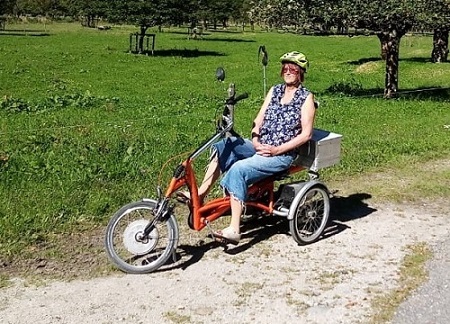 Customer experience electric tricycle bike Easy Rider Daisy
