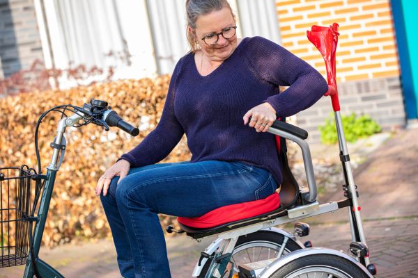 Options for Easy Go 3 wheel scooter for elderly