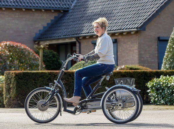 Van Raam E-tricycle à enfourchement plus bas Maxi Comfort