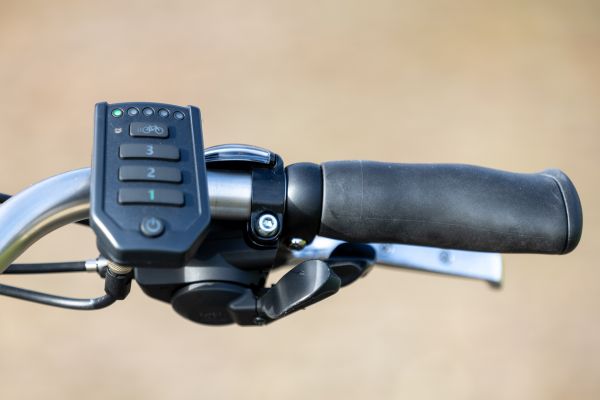 Van Raam elektrisches Doppelfahrrad oder Tandem