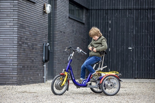 tips for buying a Van Raam childrens tricycle with options