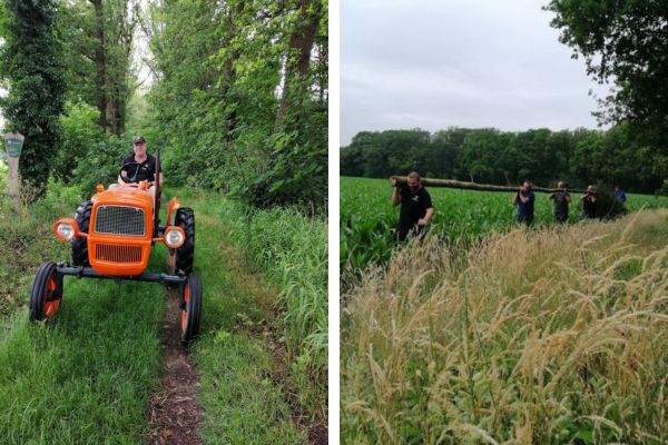 Meiboom opgehaald voor nieuwbouw Van Raam